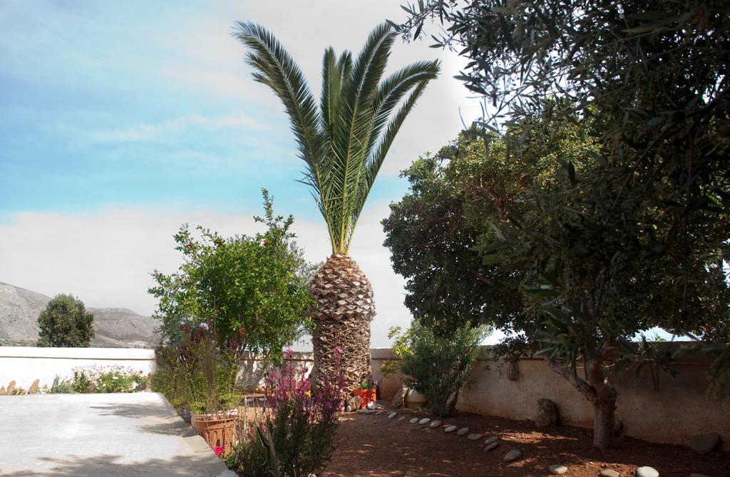 דירה Xenia *